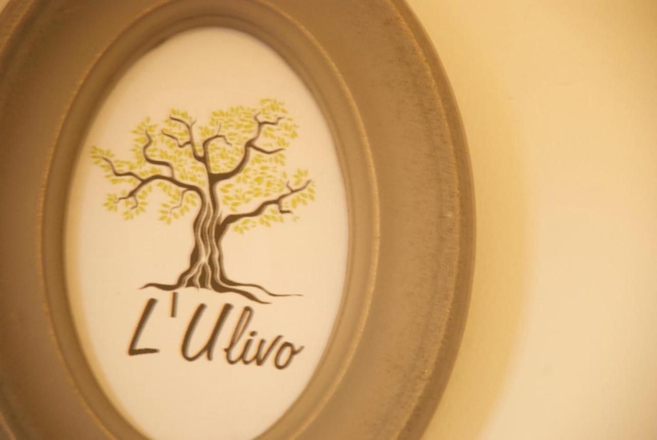 Alle Terme B&B Rapolano Terme Exterior photo